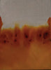 _Mitad naranja